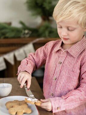 Well Dressed Wolf Peppermint Stripe Boys Shirt size 5 NWT